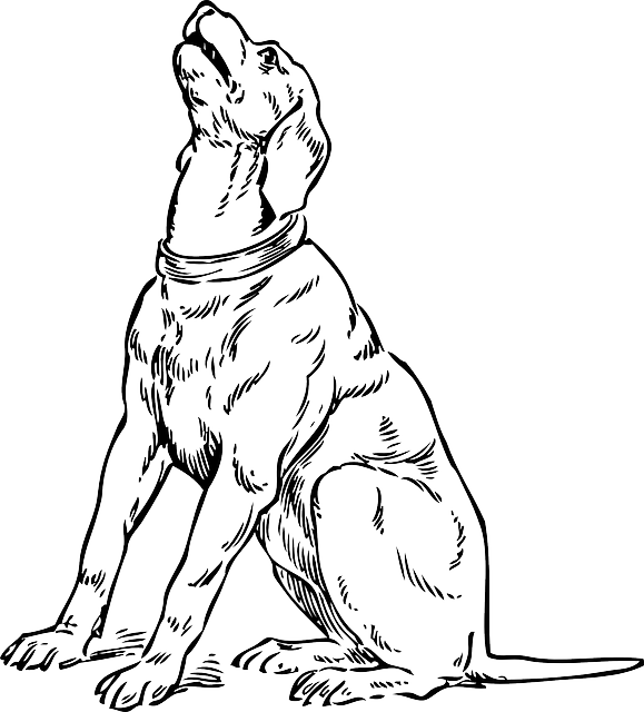 Silhouette, Cartoon, Dog, Dogs, Sitting, Barking, Pet - I'am With The Human I'am (579x640)