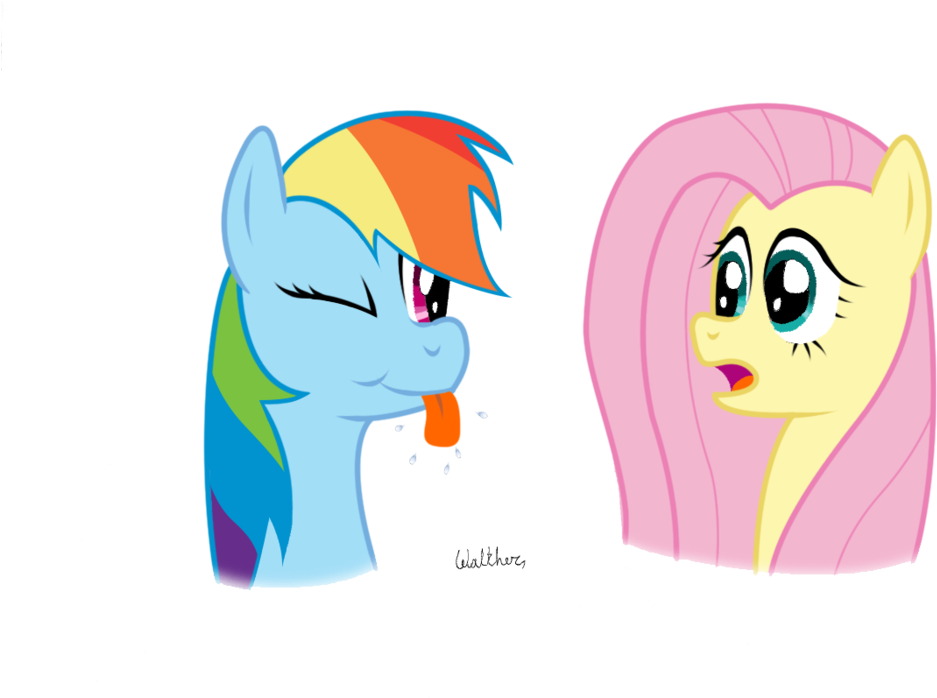 Rainbow Dash And Fluttershy By Colonelwalther On Deviantart - Rainbow Dash (1024x725)