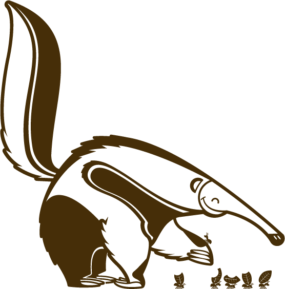 Anteater Animal Wall Decal - Wall Stickers (556x564)