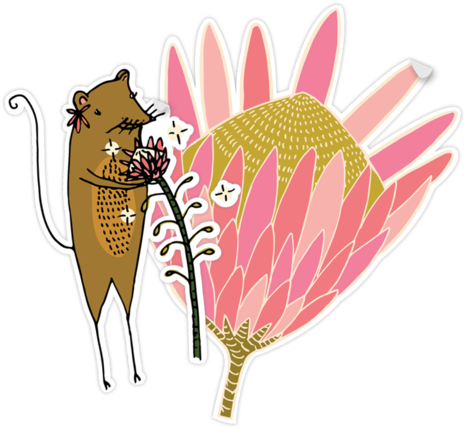 Cut Out Of Protea & Petal Sticker Pack - Sugarbushes (492x600)