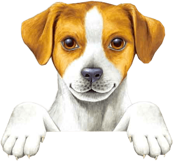 Perros Animados Png Sin Fondo - Dog Thank You Gifs (391x348)