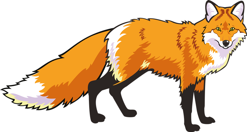 Otros Blogs Que Te Pueden Interesar - Wild Fox Cartoon (800x429)