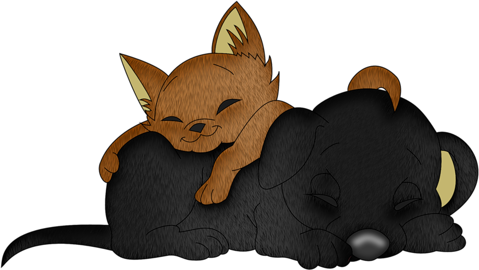 Image Du Blog Mamietitine - Armadillo (1024x570)