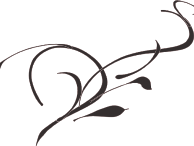 Decorative Line Black Clipart Vine - Aisha Bint Abi Bakr (640x480)