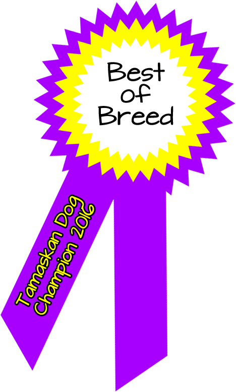 Best Of Breed - Award (800x800)