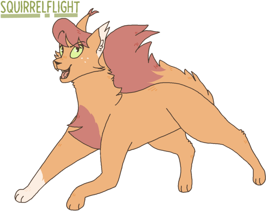 Squirrelflight Design By Loollipa - Art (1013x788)