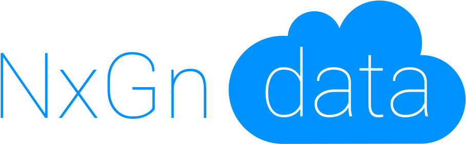 It Company Logo Design For Nxgn Data In United States - Design (1200x1000)