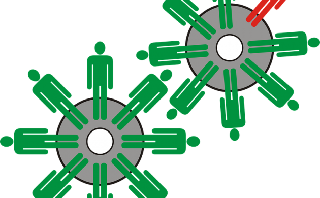 Government Hoping Introduction To Danish Institutions - Inclusion (630x390)