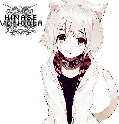 Anime Neko Render By Hinase-vongola - Super Adorable Anime Girls (500x501)