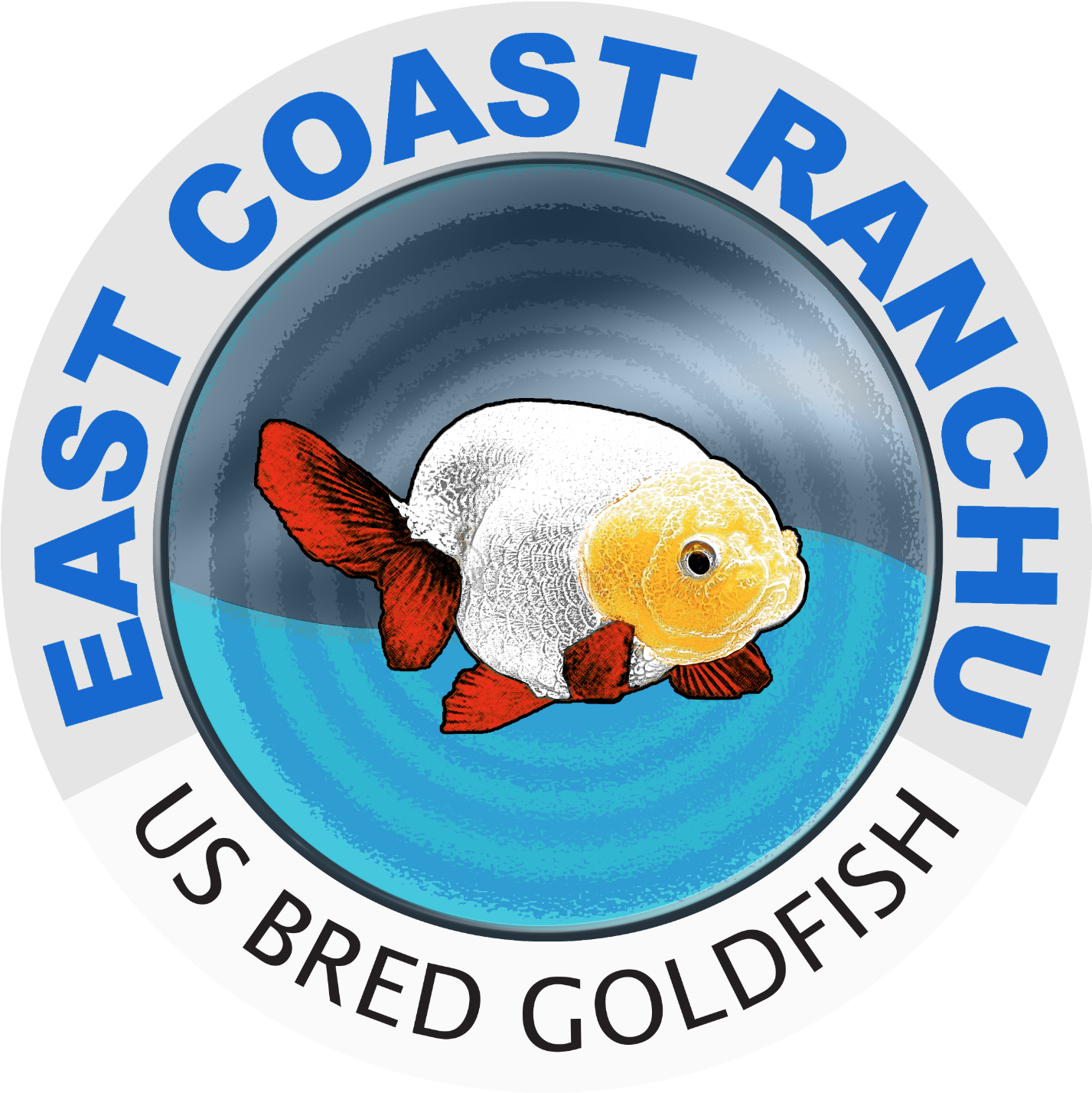 East Coast Ranchu (1500x1500)