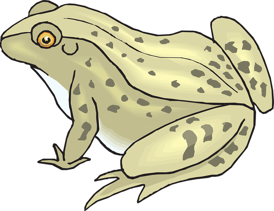 Collection Of Funny Toad Cliparts - Frog Toad Clipart (932x720)