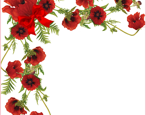 380 - Flores Rojas Vectores Png (480x380)