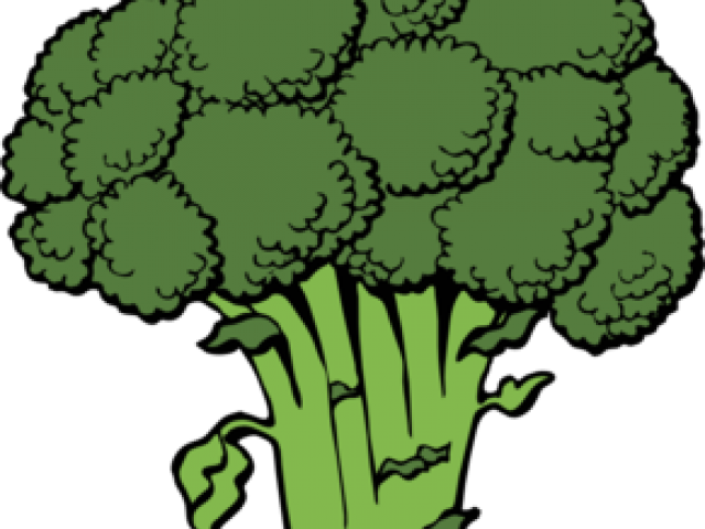 Broccoli Clipart Animated - Broccoli Clipart (640x480)