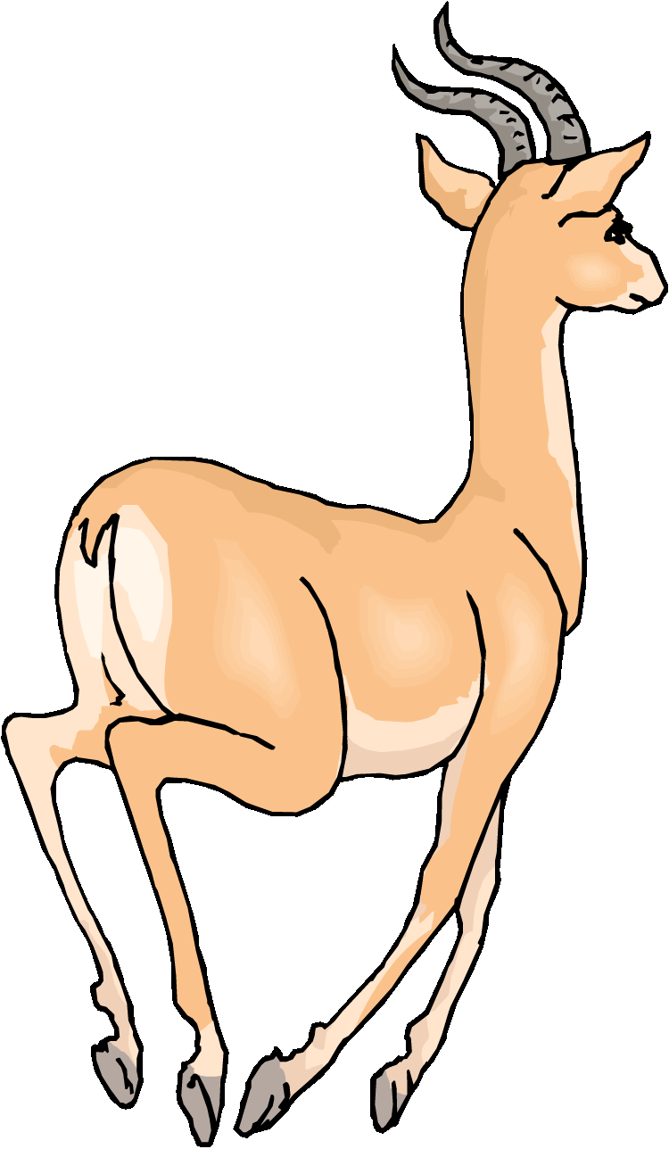 Running Gazelle - Running Gazelle Clipart (750x1288)