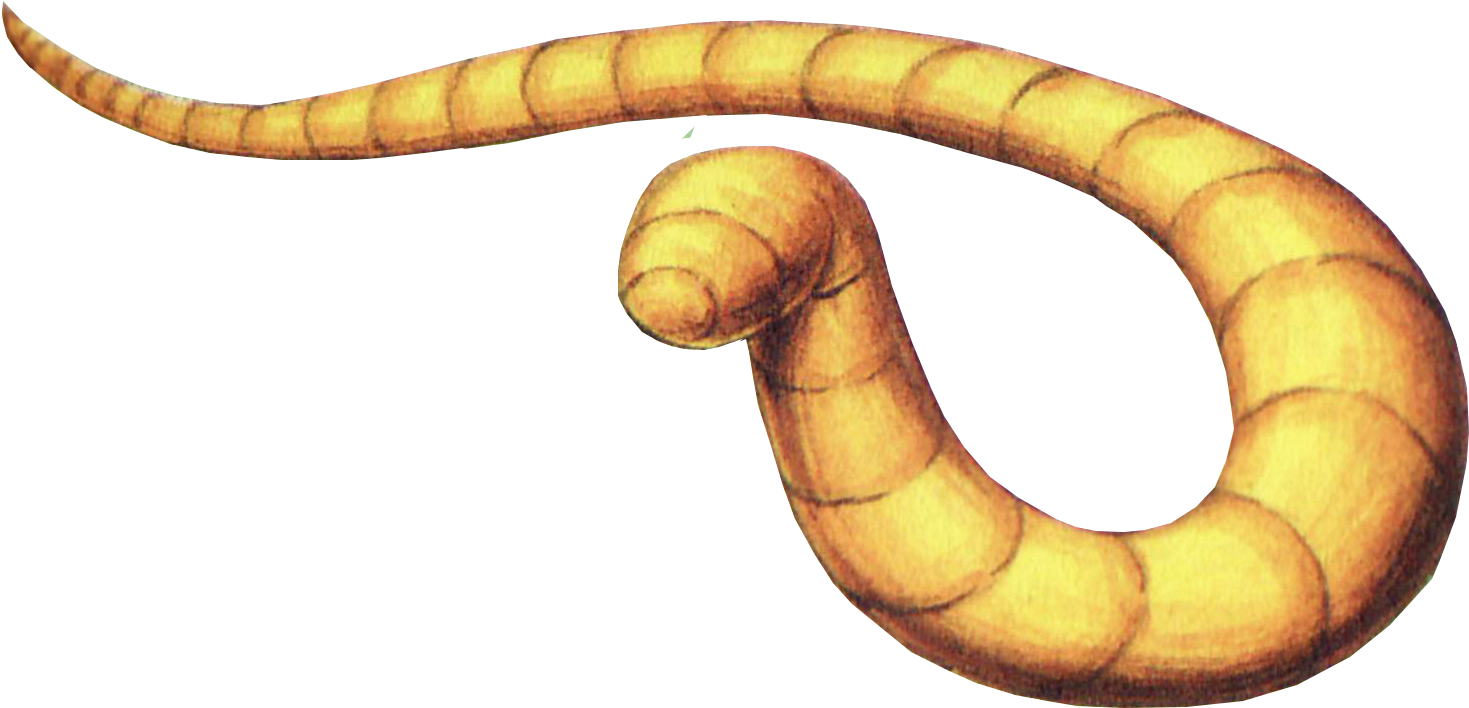 Moldorm Artwork Loz Kodokawa Shoten Guide - Moldorm Artwork Loz Kodokawa Shoten Guide (1516x780)