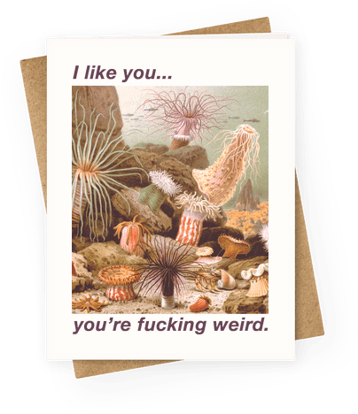 I Like You You're F***ing Weird Greeting Card - Vintage Sea Anemones Square Car Magnet 3" X 3" (484x484)