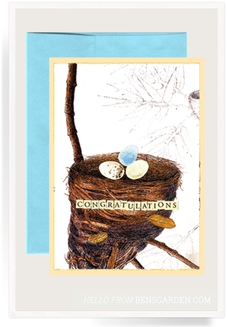 Congratulations Nest Folded Greeting Card - Picture Frame (337x480)
