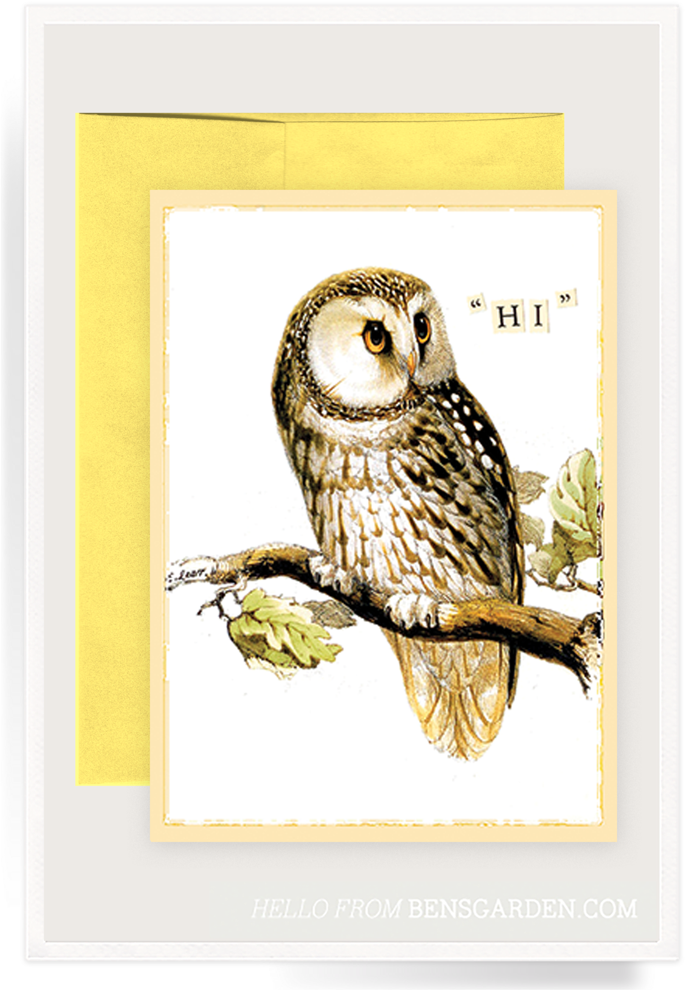 Hi Owl Folded Greeting Card - Giclée-druck: Lear's Illustration Of Tengmalm's Owl, (1438x2048)