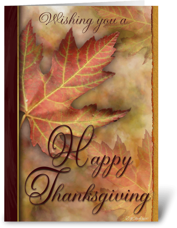 A Thanksgiving Wish Greeting Card Greeting Card - Goldene Blatt-erntedank-karte Karte (700x792)