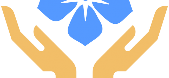 Over The Last Few Weeks, We Have Been Exploring The - Permaculture (650x300)