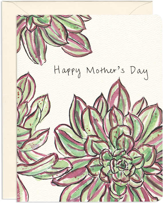 Mother's Day Plant Greeting Card - Greeting Card (800x800)