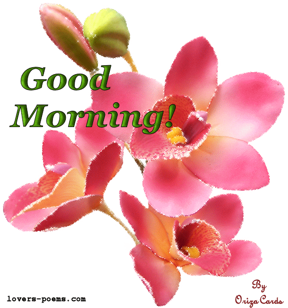 Good Morning - Good Morning Love Gif Animation (588x630)