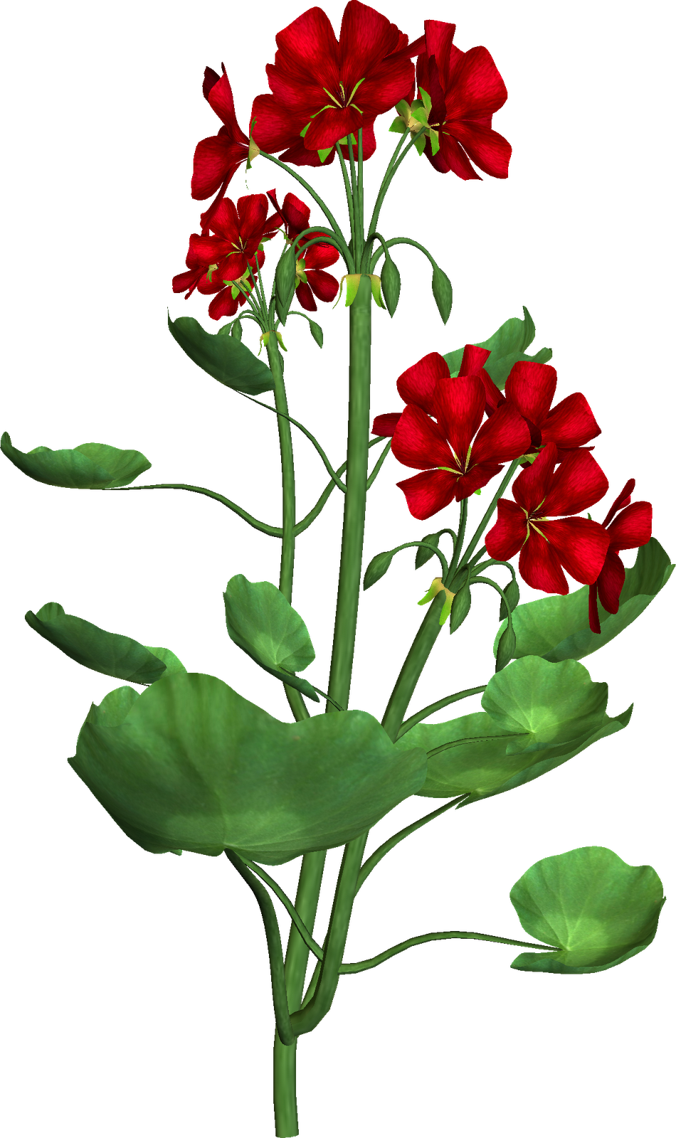 Free Png Clipart - Floral Design (950x1600)