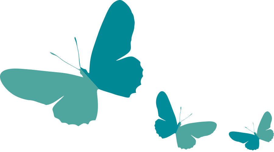 Renew - - Brush-footed Butterfly (900x501)