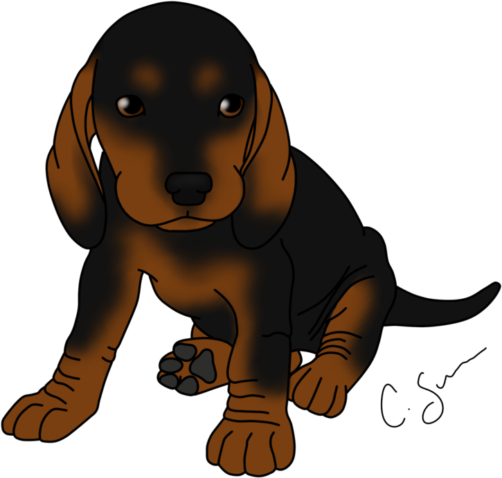 Black - Black And Tan Coonhound Cartoon (1024x768)