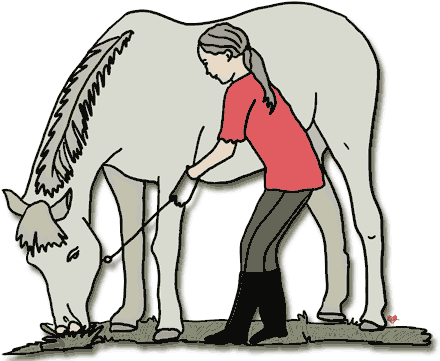 Free - Taking Care Of Animals Clip Art (450x376)