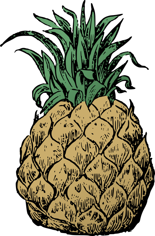 Medium Image - Pineapple (525x800)