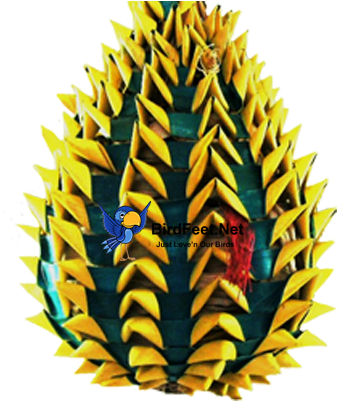 Planet Pleasures, Pineapple Foraging Toy, Extra-large, - Floral Design (400x400)