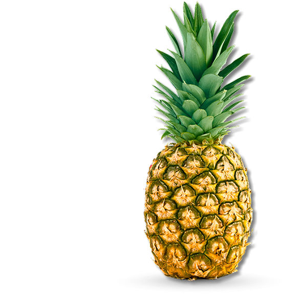 Bringing Better Quality Smoothies And Supplements To - Pineapple Large (585x585)