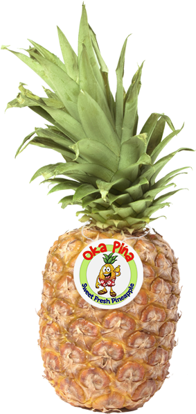 Oka Piña Pineapple By Cutita Brand - 1 X Stainless Steel Pineapple Corer Slicer Peeler Cutter (750x652)