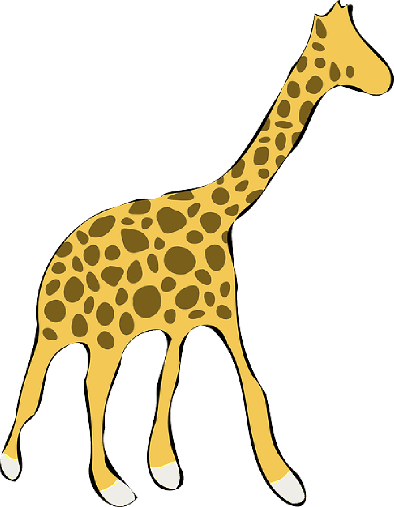Mb Image/png - Giraffe Kartun (800x1028)