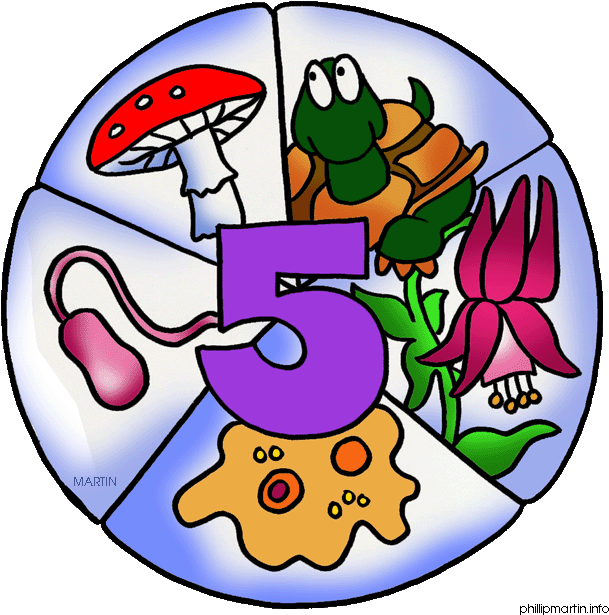 Biological Scientist Clip Art Biology Science Clipart - 5 Kingdom Classification Clipart (638x648)