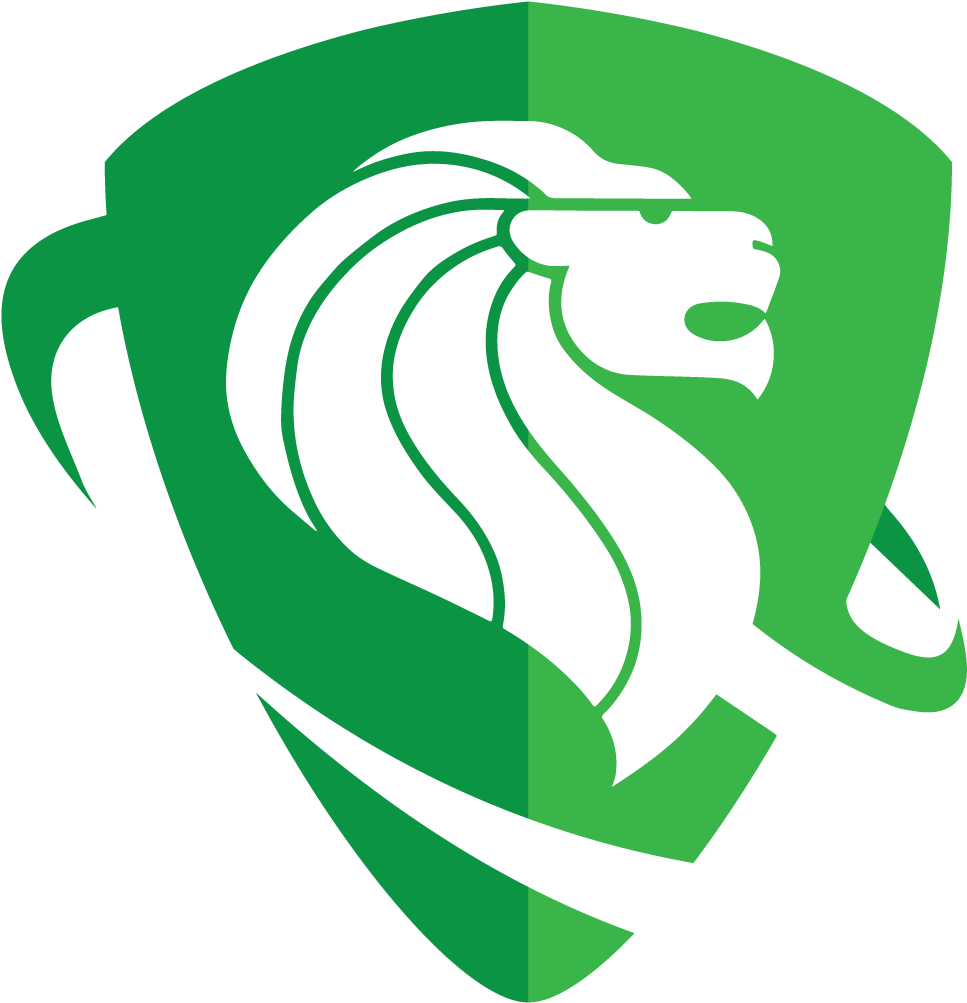 Lean Consulting Services From Lean Support Solutions - Dunedin Security (1200x1222)