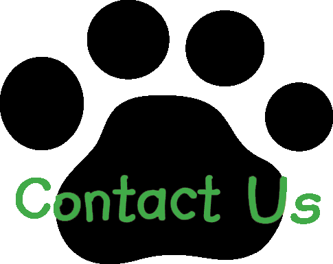 We Provide Reliable Dog Walkers & Pet Nannies In Arlington, - Happy Hounds (485x385)
