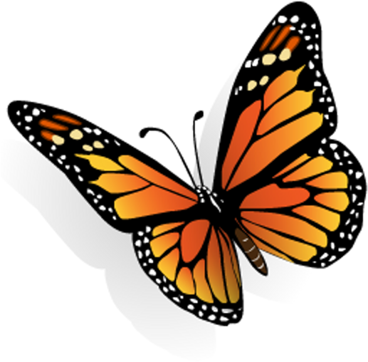 Monarch Butterfly Clip Art Free - Butterfly 3d (517x516)