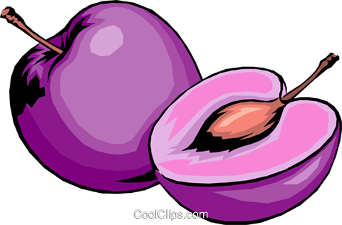 Sliced Plums Royalty Free Vector Clip Art Illustration - Purple Fruits Clip Art (480x316)