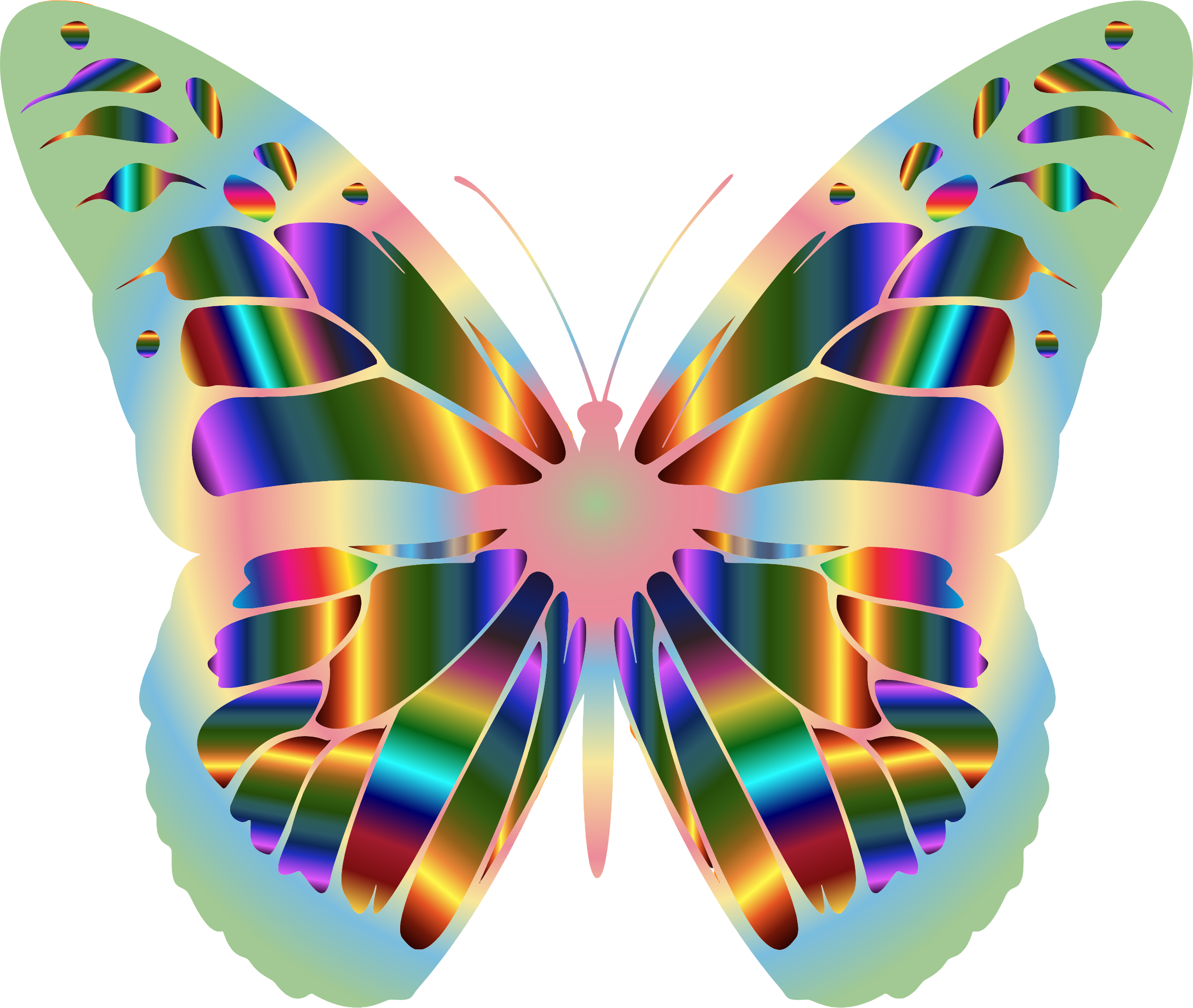 Monarch Butterfly 17 - Fivela De Cinto Abstrata Luxe De Rect Da Borboleta (2400x2028)