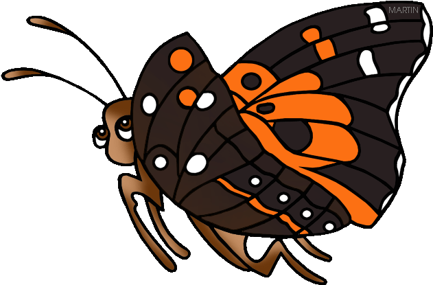 State Insect Of Hawaii - United States Of America (648x447)