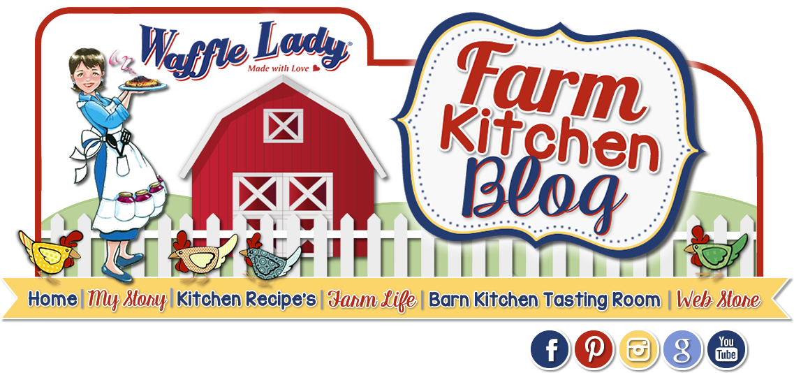 From The Waffle Lady Farm Kitchen - Barn To Stage By Sheila Jo Spencer 9780692547618 (paperback) (1137x534)