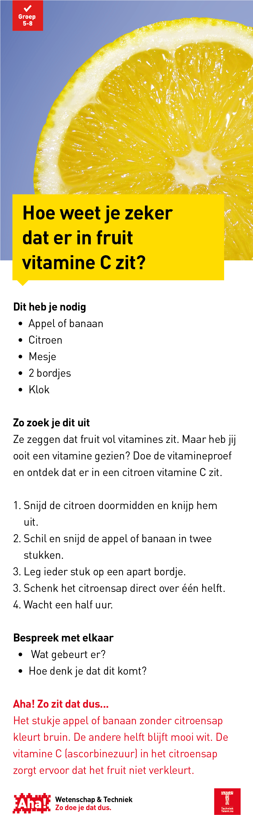 Mindset - Document (980x3200)