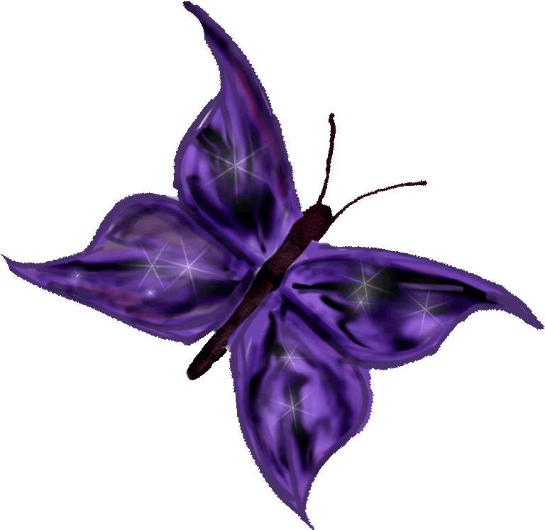 Gifs Animados, Mariposas, Parte - Gif De Mariposa En Movimiento (800x800)