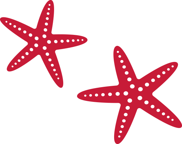 Ladyj Art Icons Starfish Red - Clip Art (579x458)