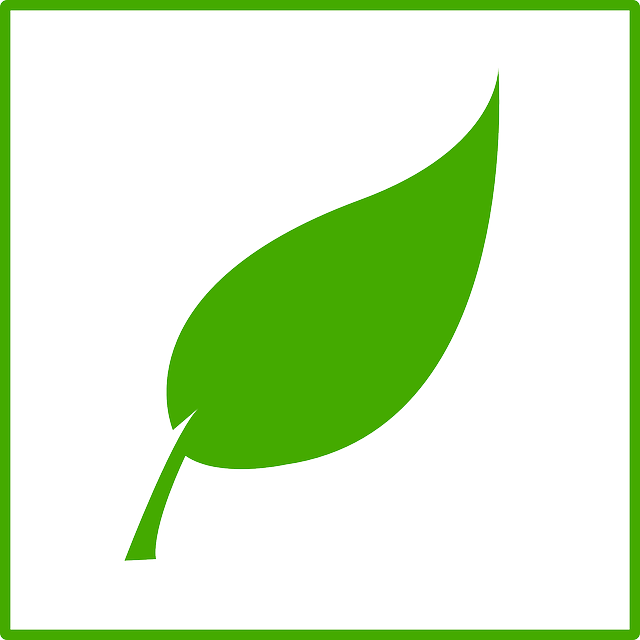 Resolve To Eat More Plants In 2018 - Mint Leaf Clip Art (640x640)