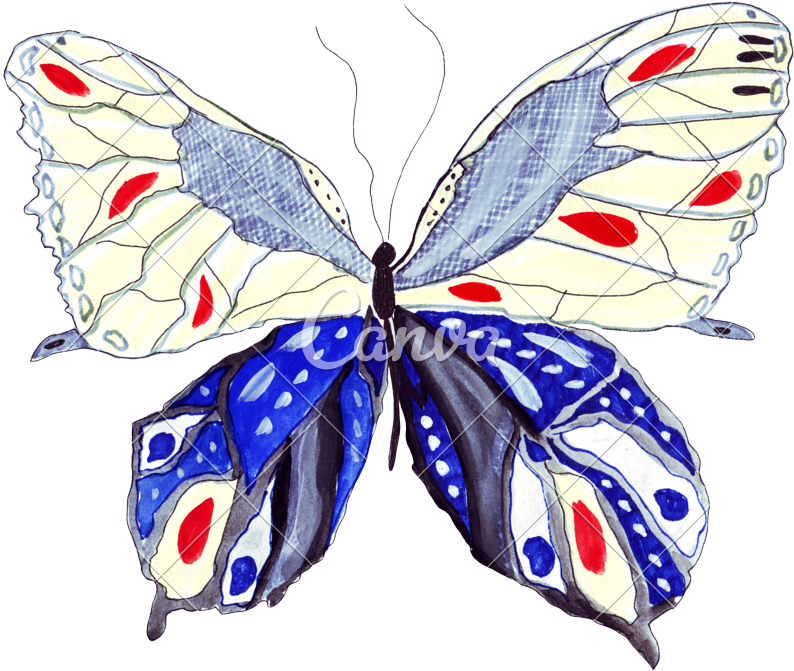 Illustration Butterflies Of Different Colors And Patterns - Brush-footed Butterfly (800x675)