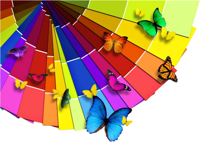 Bright Color Palette And The Butterfly Wallpapers - Colorful Butterfly Hd (864x540)