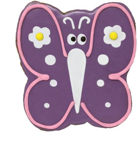 Spring Cookies - Butterfly (480x480)